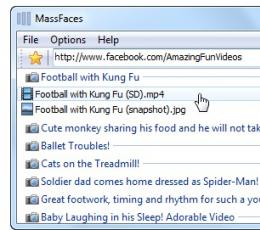 MassFaces(视频图片批量下载工具) V3.8.0.118 免费版