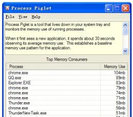 Process Piglet(进程监视工具) V1.01.14 绿色版