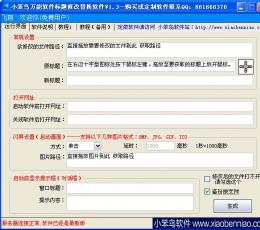 小笨鸟万能软件标题修改替换软件 V1.3 
