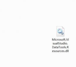 Microsoft.VisualStudio.DataTools.Resources.dll
