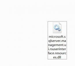 microsoft.sqlserver.management.ui.rsuserinterface.resources.dll 10.0.1600.22