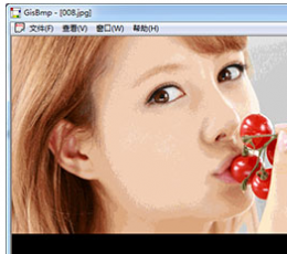 GisBmp(图片压缩工具) V1.0 绿色免费版