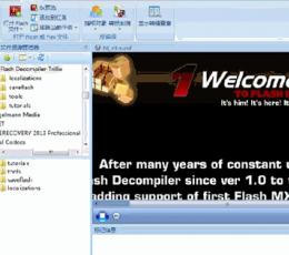 Flash反编译软件 V5.3.1370 汉化免费版