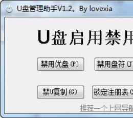 U盘管理助手 V2.1 绿色版