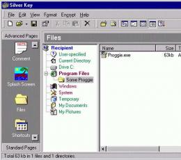 Silver Key(加密文件软件) V4.2 绿色版