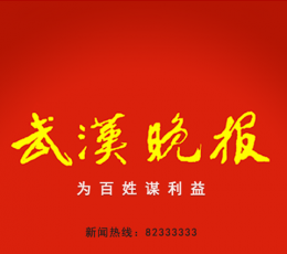 武汉晚报 V1.1 安卓版