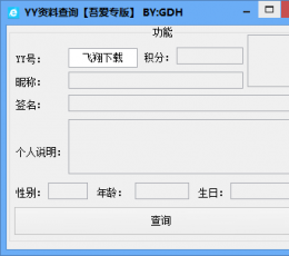 YY资料查询 V1.0 绿色版