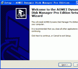 Dynamic Disk Manager Pro(动态磁盘管理工具) V1.1 绿色版