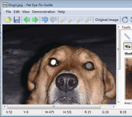 Pet Eye Fix Guide(图片红眼修复工具) V2.2.1 绿色特别版