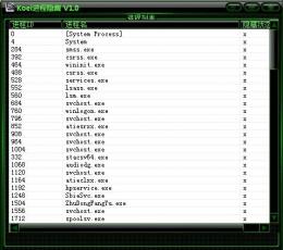 Koei进程隐藏工具 V1.0 中文版