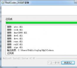 RealCodec播放器插件 V1.0 绿色版