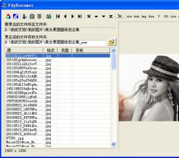 PdgRenamer(文件改名工具) V2.05 简体中文绿色免费版