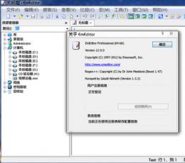 EmEditor Professional V14.4.2 绿色中文版