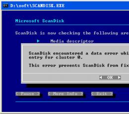ScanDisk V1.0 光盘版