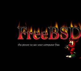 FreeBSD(类UNIX操作系统) V8.0Final绿色英文免费版