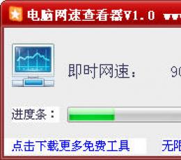 电脑网速查看器 V1.0 简体中文绿色免费版