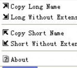 Copy File Names V2.0.1 英文绿色免费版