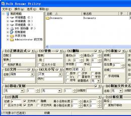 Bulk Rename Utility (批量改名工具) V2.7.1.2 Unicode 汉化绿色免费版