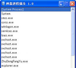 神墓进程强杀工具 V1.0 简体中文绿色免费版