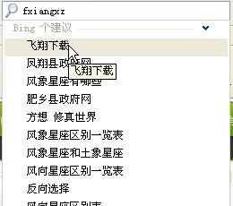 IE搜索框智能提示(Smart Search Box) V1.6.0.7 