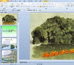 鸟的天堂ppt课件 免费版