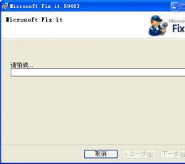 MicrosoftFixit50403.msi