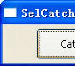 SelCatch V4.5 免安装版