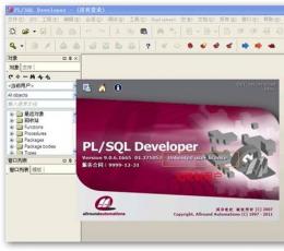 PLSQL Developer V10.0.3.1701 中文注册版
