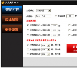 天龙魔方 V1.1 绿色版
