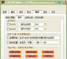 刺沙黑月辅助工具 V2.5.5 最新版