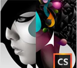 Adobe Creative Suite 6 Design Standard 简体中文版