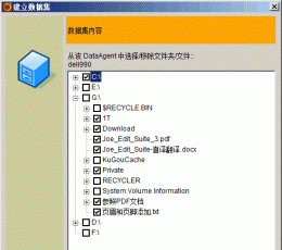 ringstor(瑞石云储存) V4.0.01 