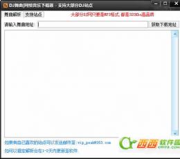 疯看DJ舞曲网络音乐下载器 V2.62 绿色版