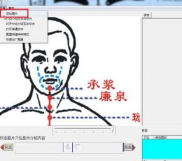 中医穴位图解