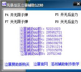 风暴战区泣血辅助