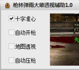 枪林弹雨大雄透视辅助 V1.0 免费绿色版