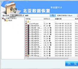 北亚数据恢复软件WINDOWS专业版 V1.0 