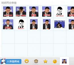 姚明两会表情包13P