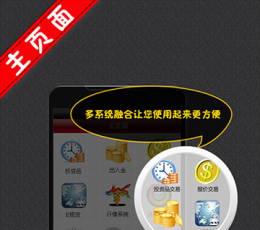 宗易汇 VF1.0.9 PC版