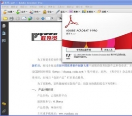 Adobe Acrobat Reader 9.0 简体中文版