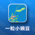 一粒小豌豆 V1.0.0 安卓版