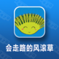 会走路的风滚草 V1.0.0 安卓版