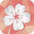 经期助手 V3.0.3 安卓版