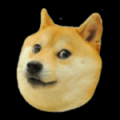 DOGE2048 V2.0.0 安卓版