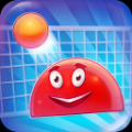排球王（Volleyball: Volley king） V1.0 安卓版