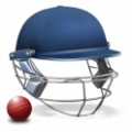 板球队长2015(Cricket Captain 2015) V1.0 安卓版