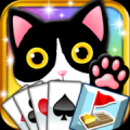 kitty纸牌和清洁免内购免费版
