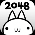 变态猫2048 V1.0.0 安卓版