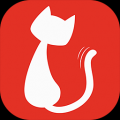 本地猫 V1.0.0 正式版