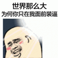 世界那么大QQ表情包